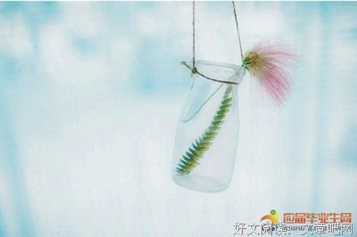 有关相知相惜的句子