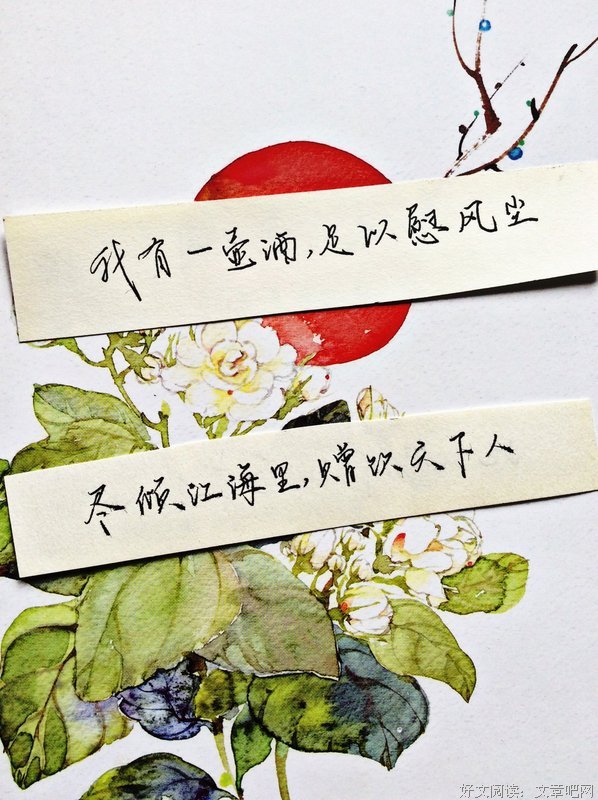 我有一壶酒，足以慰风尘句子