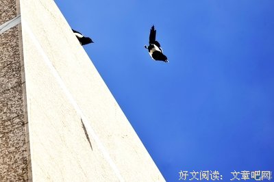 散文诗