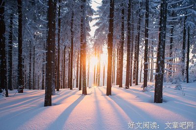 中二优美的句子