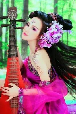 菩提句子大全