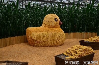 《本草中国 第二季》经典观后感10篇