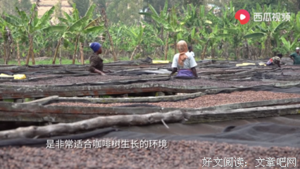 《侣行翻滚吧非洲》的影评10篇
