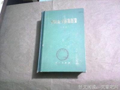 《图鉴中国》影评10篇
