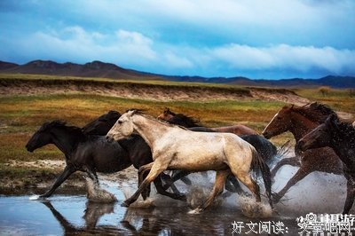 关于乌兰的名句摘抄