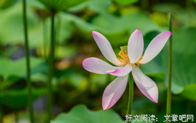 《七月。》的句子
