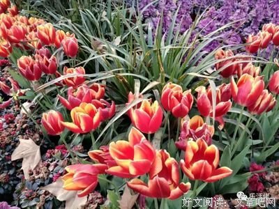 我竟无言以对句子大全