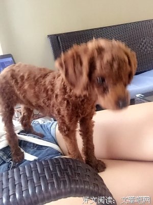 你吓到你的小宝贝了