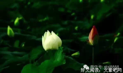 伤感经典名句