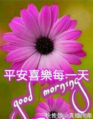 不知为什么句子大全