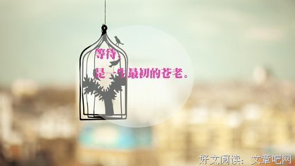 我看还是我经典的句子