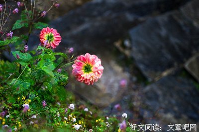 《 没么学为想》的句子