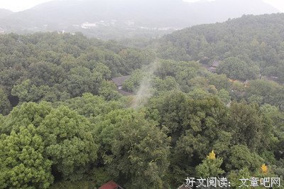 关于雷峰塔的格言