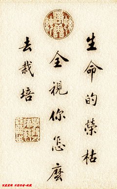 关于画龙的名言