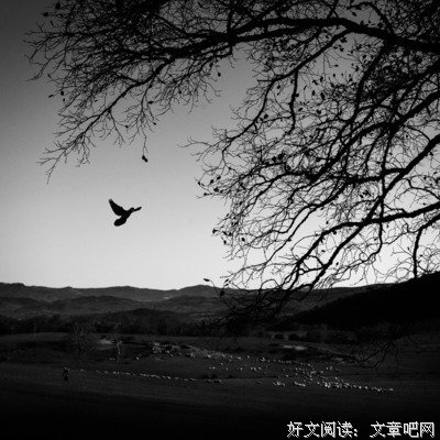 孤风优美的句子