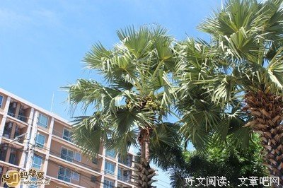 我们念经吧
