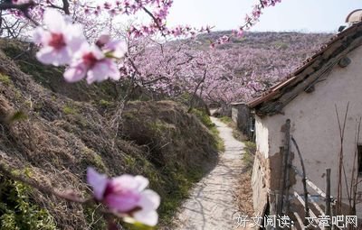 女大学生要求每月生活费4500：女孩子就该富养，总不能让我吃饭堂
