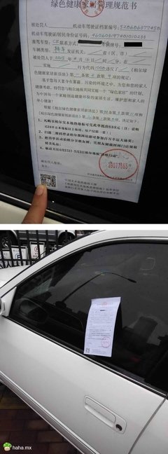2019伪戒名言