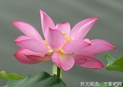 最经典的《恨不相逢未剃时》经典的句子大全