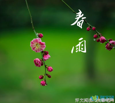 关于伞句的名言