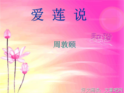 关于衬的句子