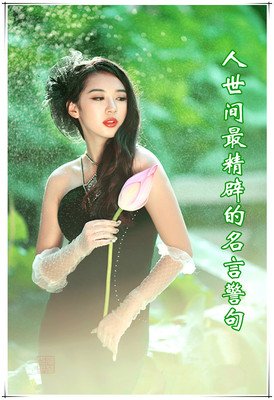 露西格言警句