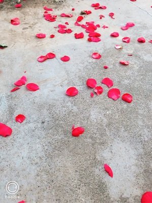 关于似曾相识名言名句
