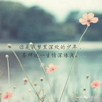 摘于网上优美的句子