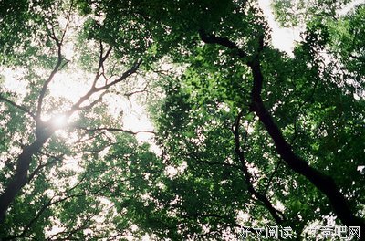 做一个优秀的女人句子大全