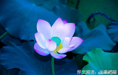 古风优美的句子