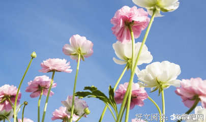 甜的优美句子