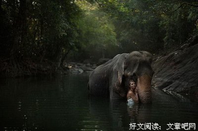 魔法森林大冒险经典读后感10篇