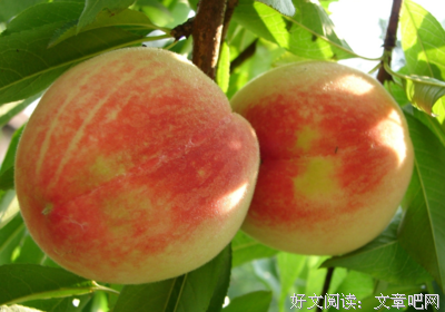 《历史那些事》好看吗？经典观后感10篇