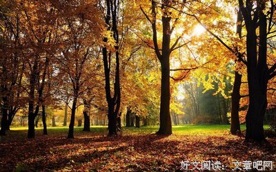 关于春困秋的唯美语录