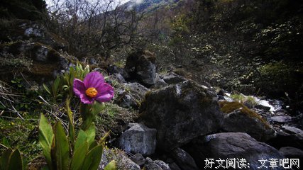 八荒六合的名人名言
