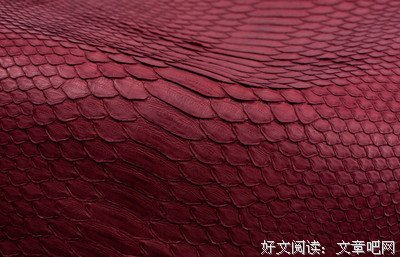爬行动物的名句_关于爬行动物的名句