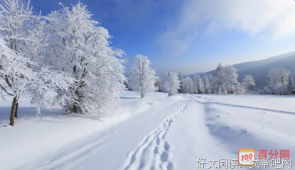 精灵优美的句子