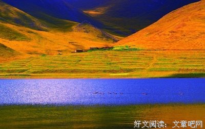 我想辞职了