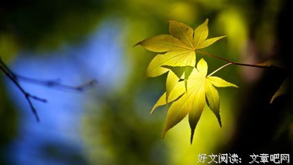 有关爱的的句子