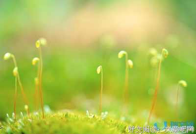关于My句集的优美句子