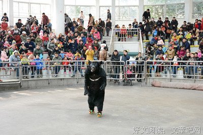 缪文志 ：无人喝彩