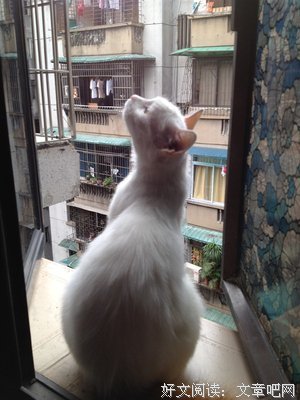 发现句子大全