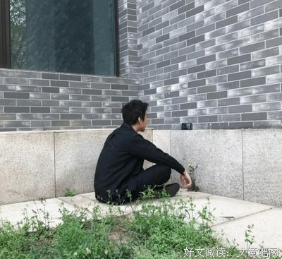 没人真的傻，只是不愿说