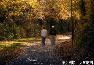 所爱句子