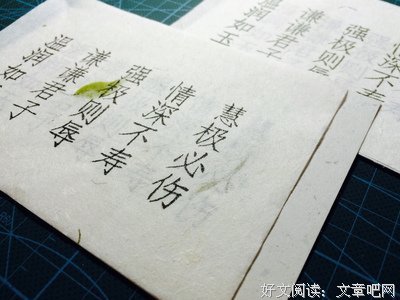 关于情深不寿的句子