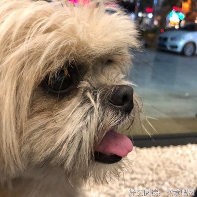《嗯哼。》的句子