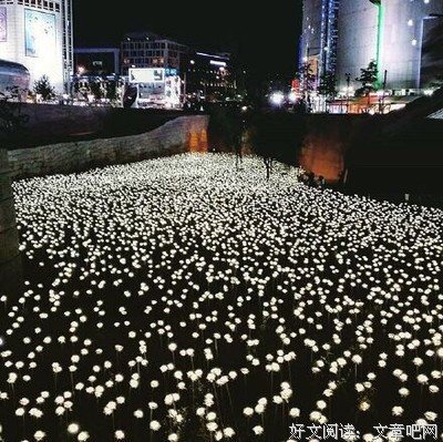 15条关于恶毒的经典语句