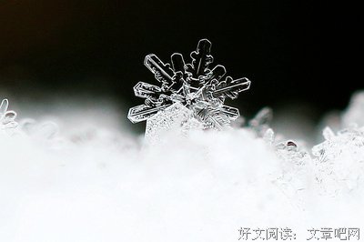 关于冰清玉的格言