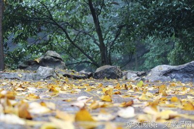 描写雨后春笋的语句摘抄