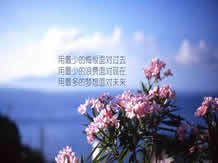 哈利波特格言警句